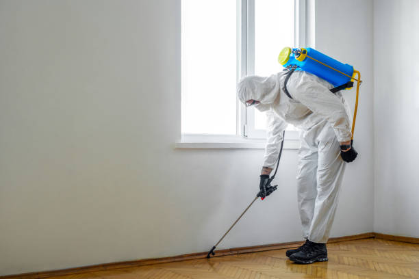 Best Pest Prevention Services  in Aurora, MO