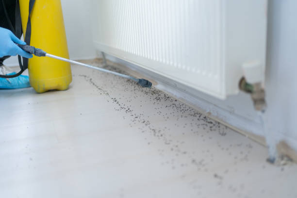 Best Local Pest Control Services  in Aurora, MO